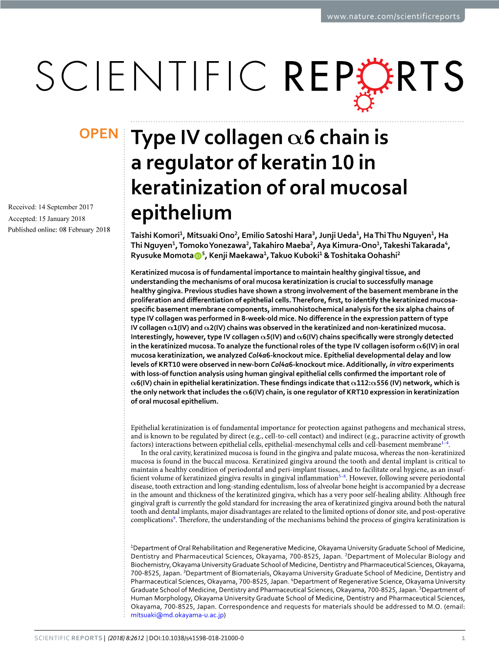 Type IV Collagen Α6 Chain Is a Regulator of Keratin 10 In