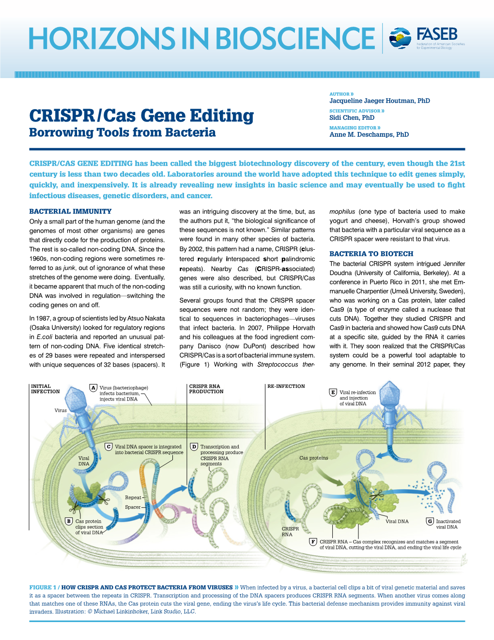 CRISPR| Cas Gene Editing Sidi Chen, Phd MANAGING EDITOR» Borrowing Tools from Bacteria Anne M