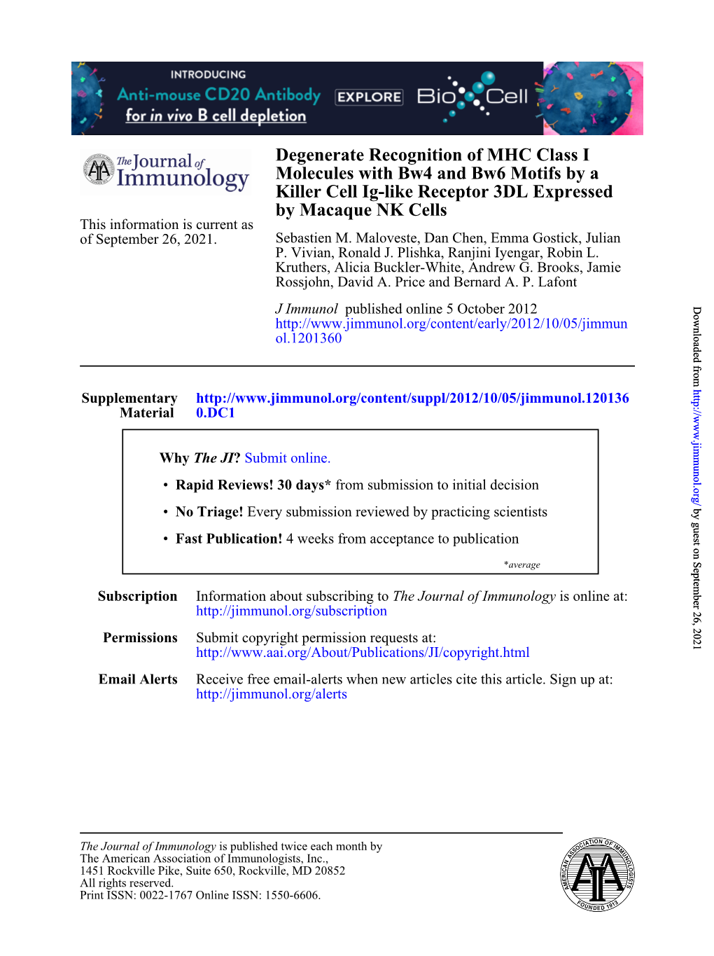 By Macaque NK Cells Killer Cell Ig-Like Receptor 3DL Expressed