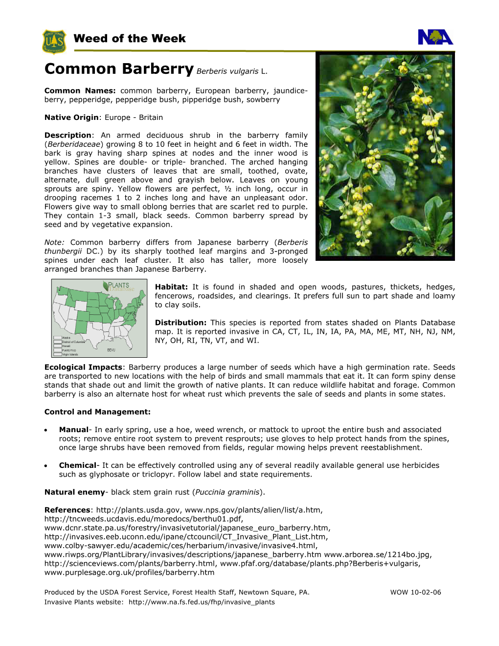 Common Barberry Berberis Vulgaris L