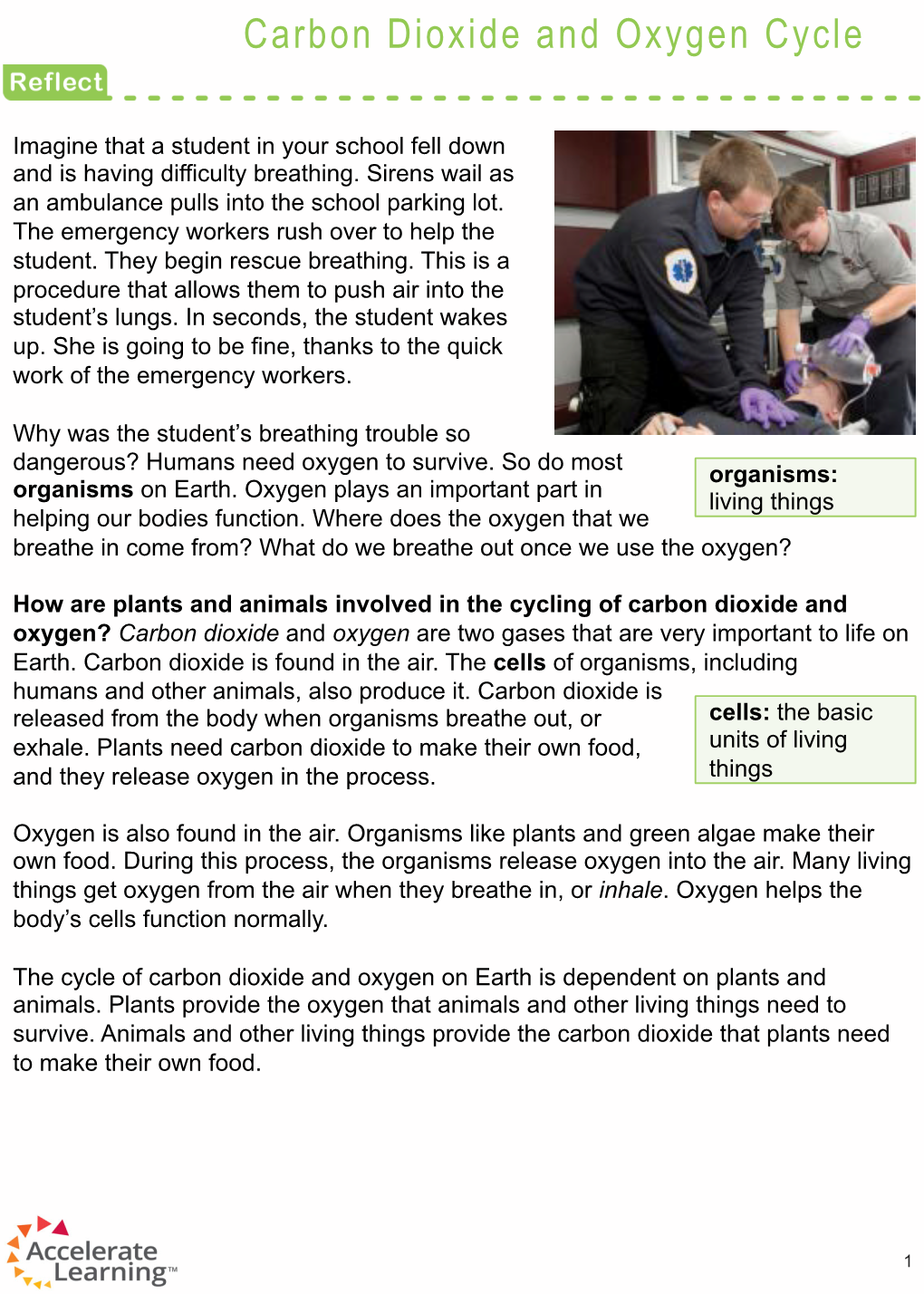 Carbon Dioxide and Oxygen Cycle