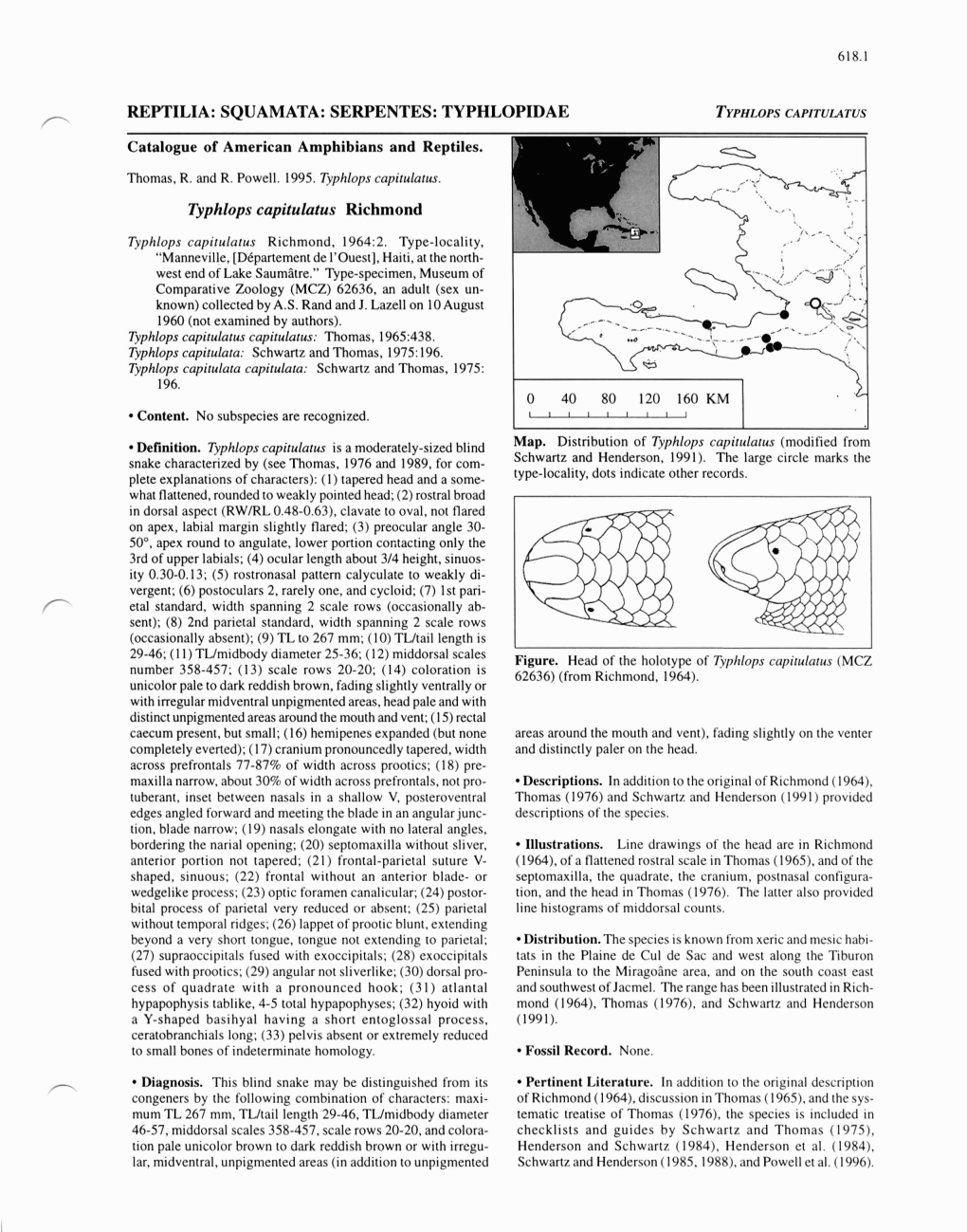 REPTILIA: SQUAMATA: SERPENTES: TYPHLOPIDAE Catalogue of American Amphibians and Reptiles