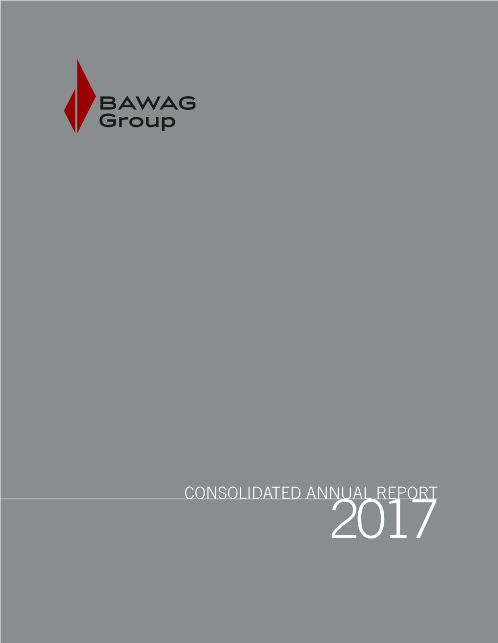 Consolidated Annual Report 2017