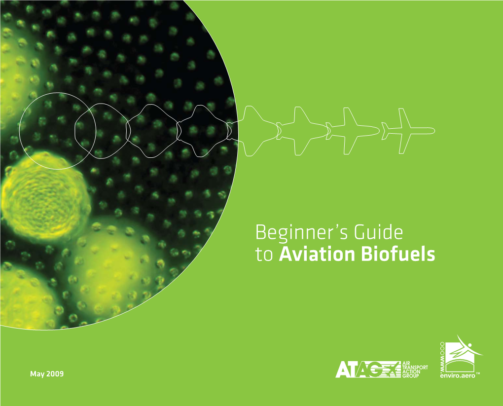 Beginner's Guide to Aviation Biofuels