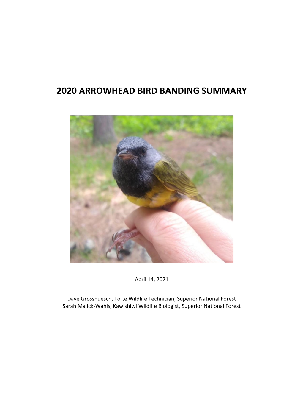 2020 Arrowhead Bird Banding Summary