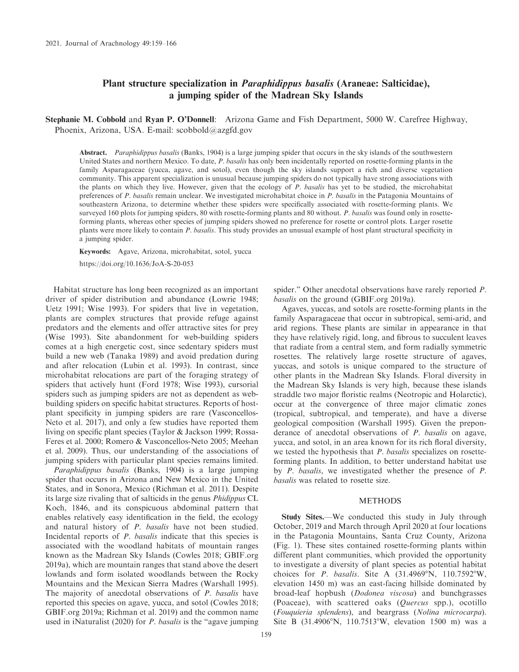 Plant Structure Specialization in Paraphidippus Basalis (Araneae: Salticidae), a Jumping Spider of the Madrean Sky Islands