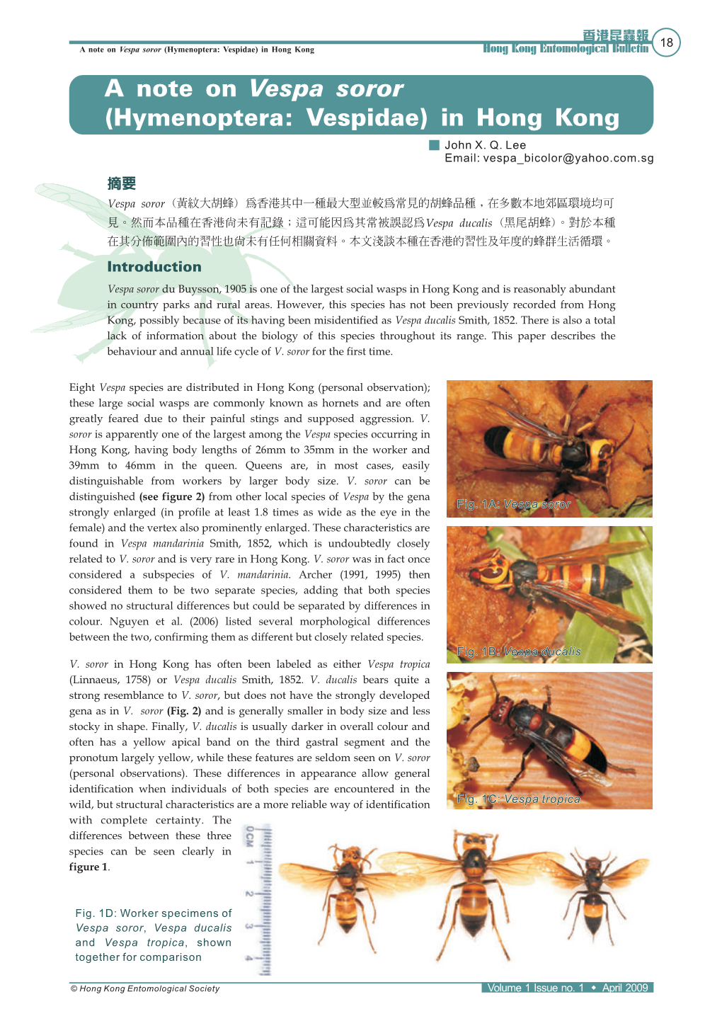 Note on Vespa Soror (Hymenoptera: Vespidae) in Hong Kong Hong Kong Entomological Bulletin - a New Record of Stick Insect from Hong Kong