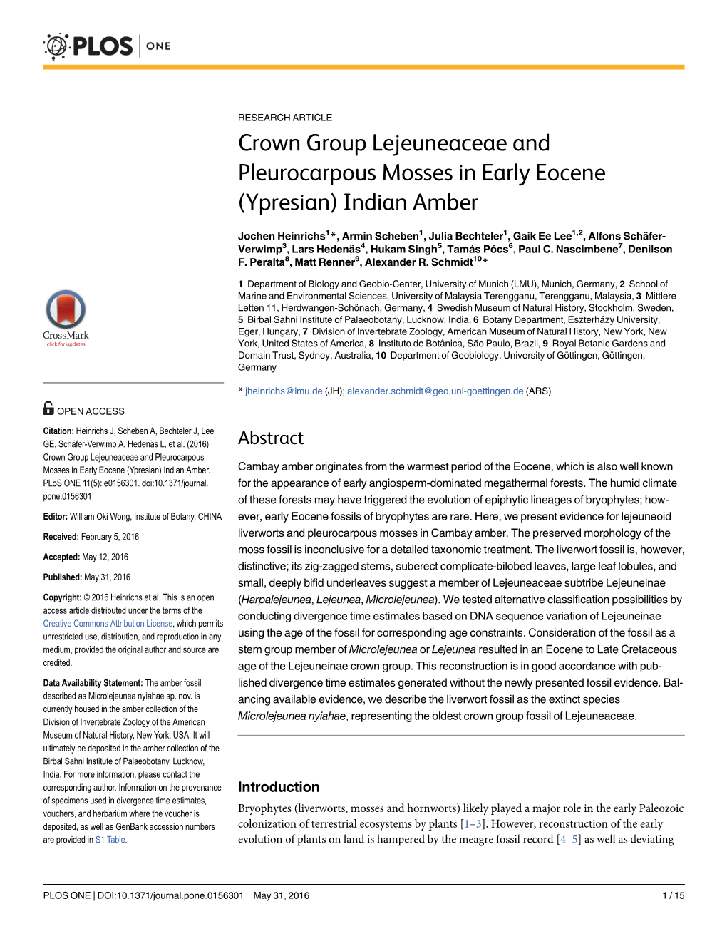 Crown Group Lejeuneaceae and Pleurocarpous Mosses in Early Eocene (Ypresian) Indian Amber