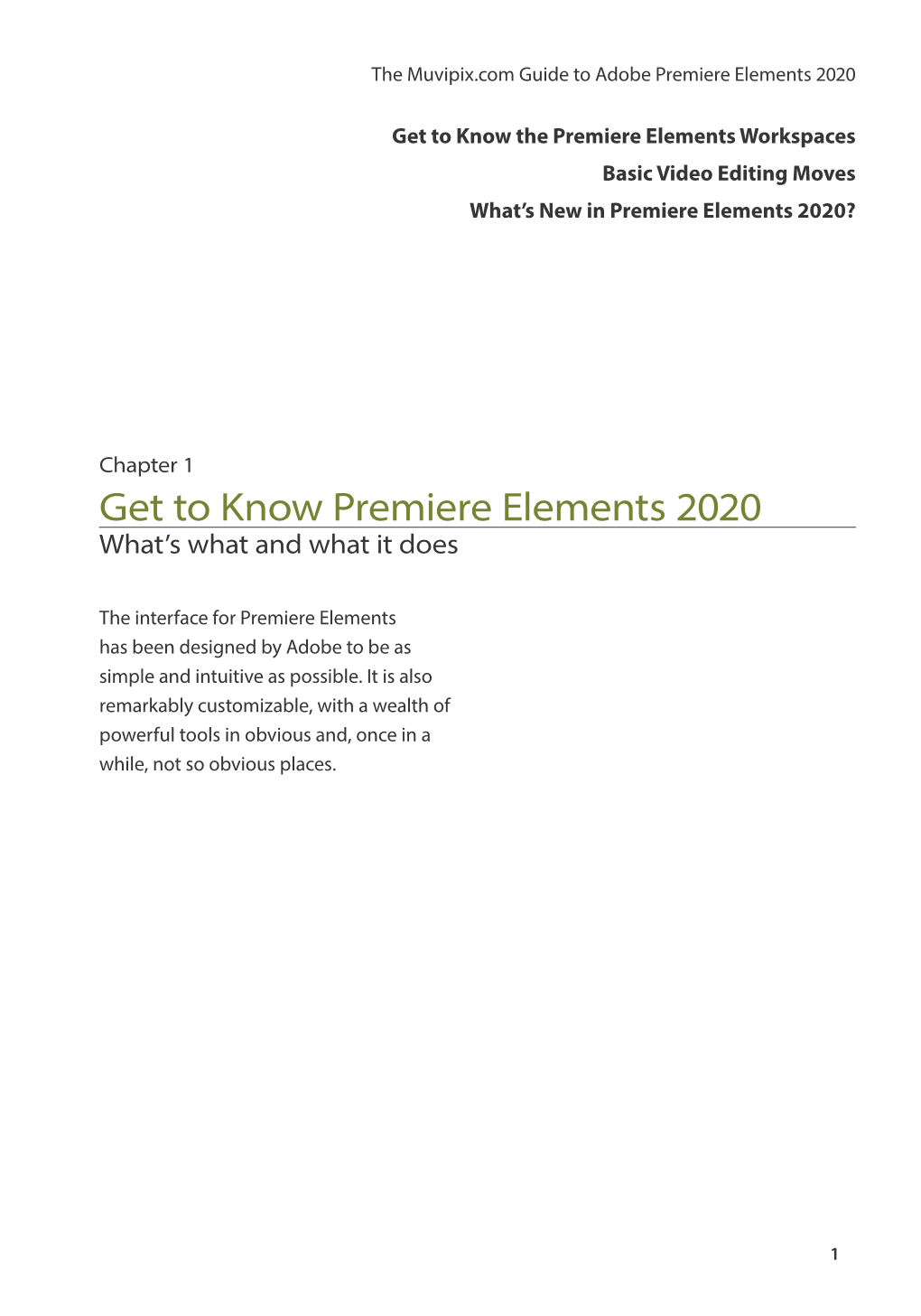 Get to Know Premiere Elements 2020 What’S What and What It Does