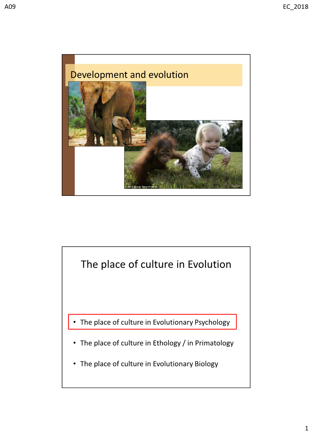 The Place of Culture in Evolution