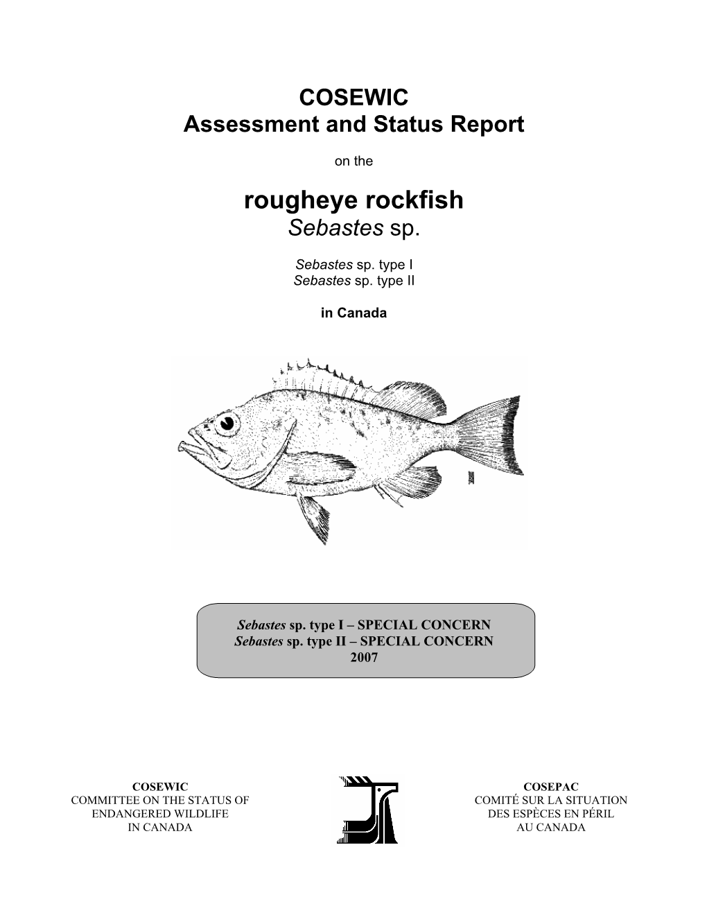 Rougheye Rockfish Sebastes Sp