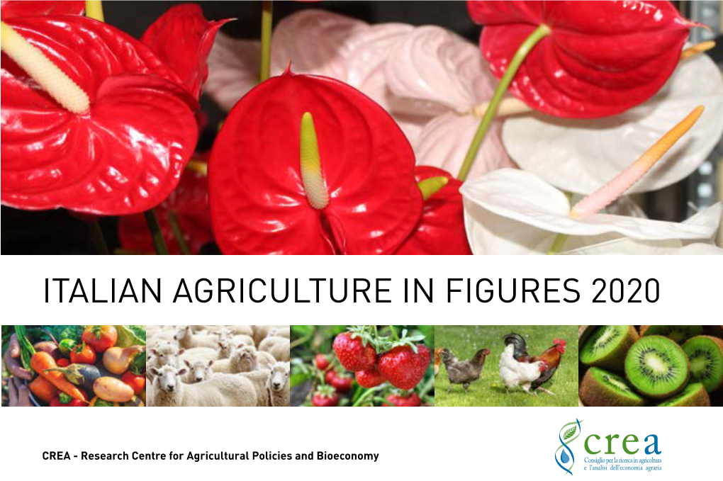 Italian Agriculture in Figures 2020