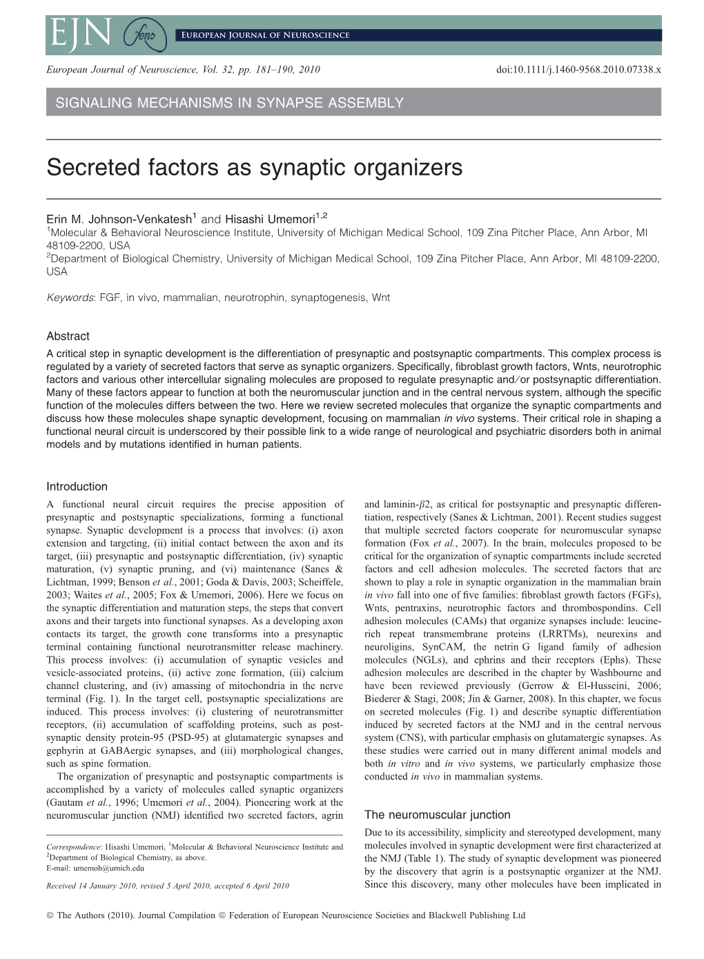 Secreted Factors As Synaptic Organizers