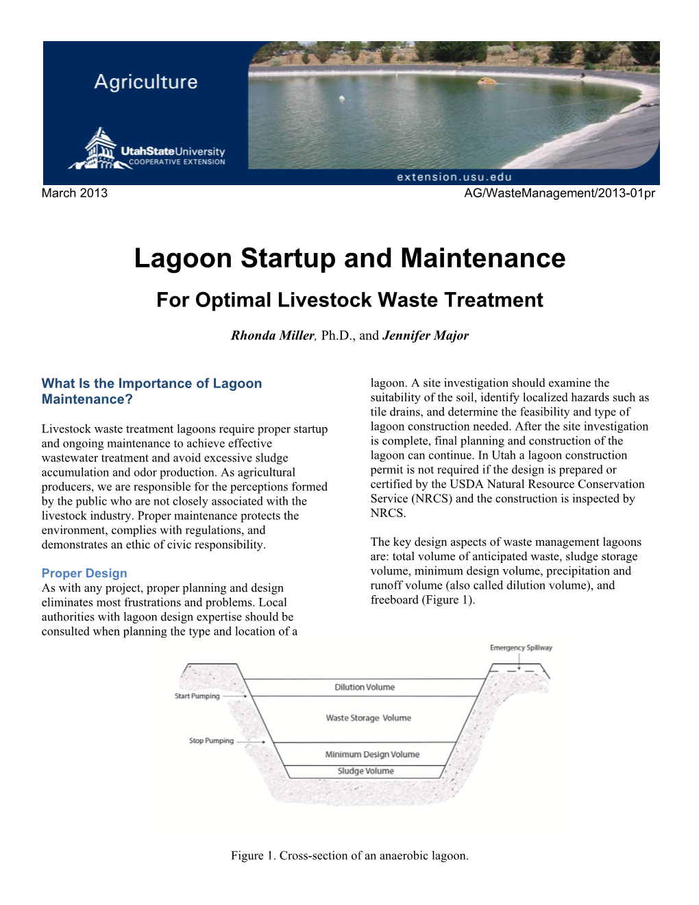 Lagoon Startup and Maintenance