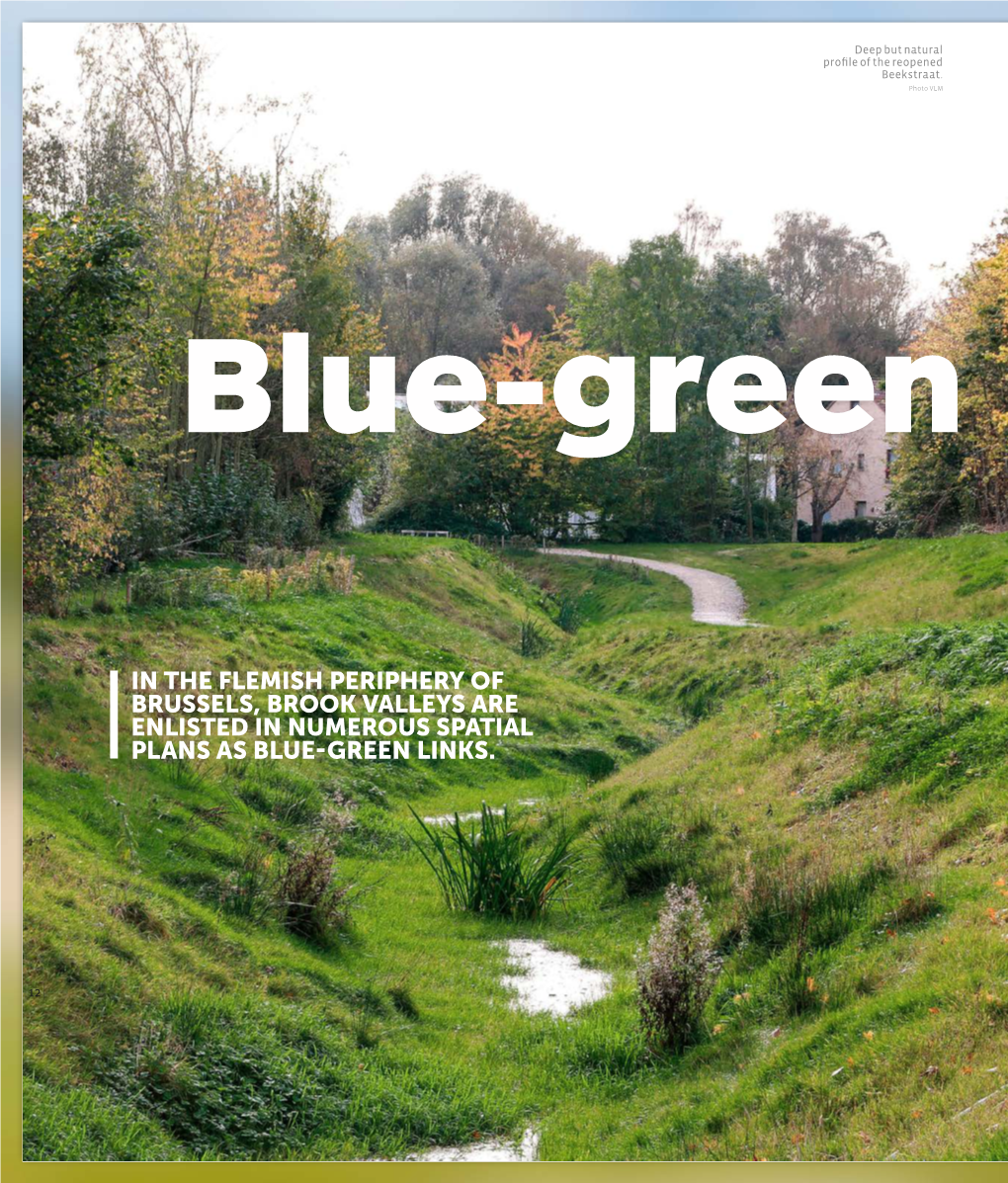 In the Flemish Periphery of Brussels, Brook Valleys Are Enlisted in Numerous Spatial Plans As Blue-Green Links