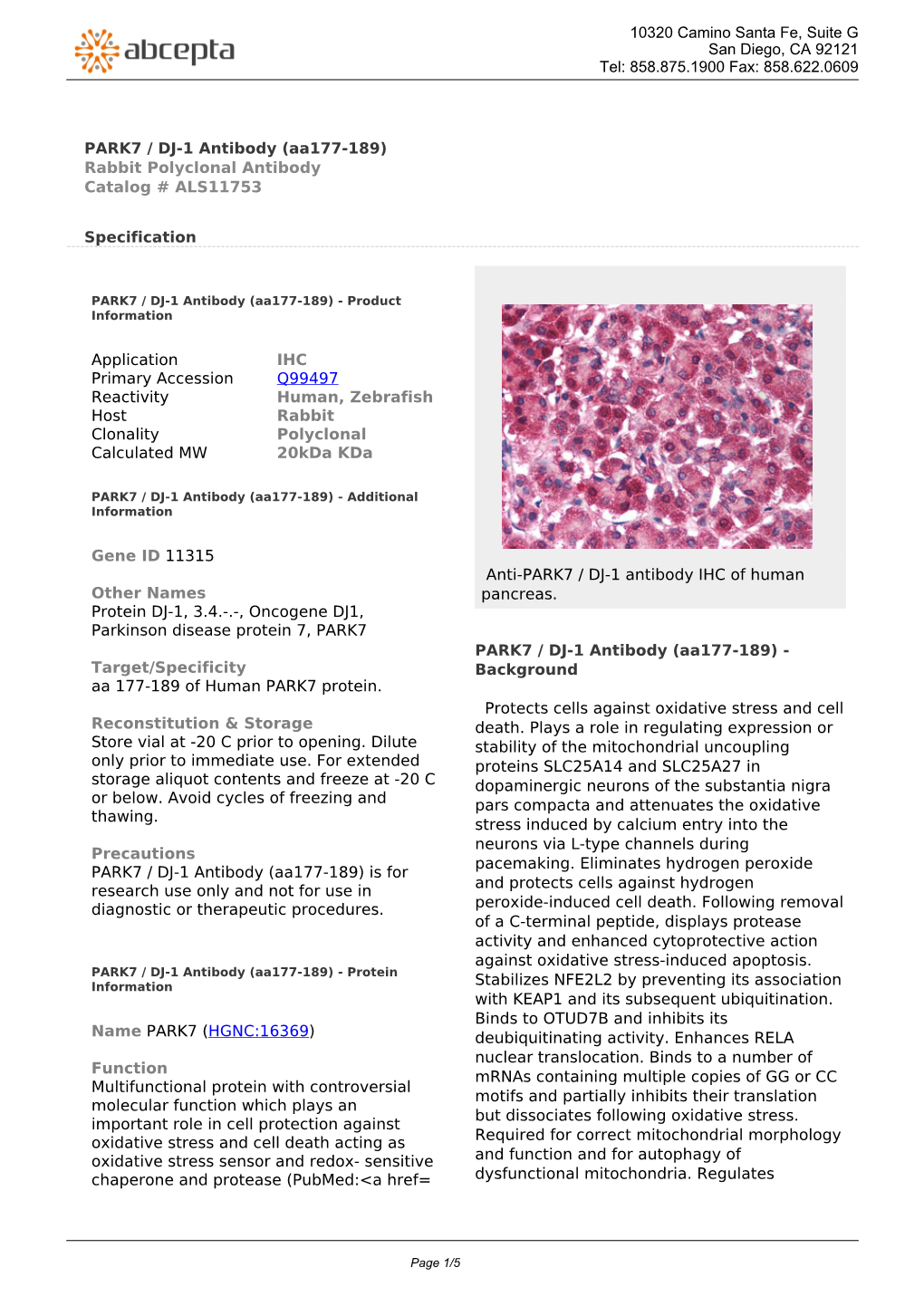 PARK7 / DJ-1 Antibody (Aa177-189) Rabbit Polyclonal Antibody Catalog # ALS11753