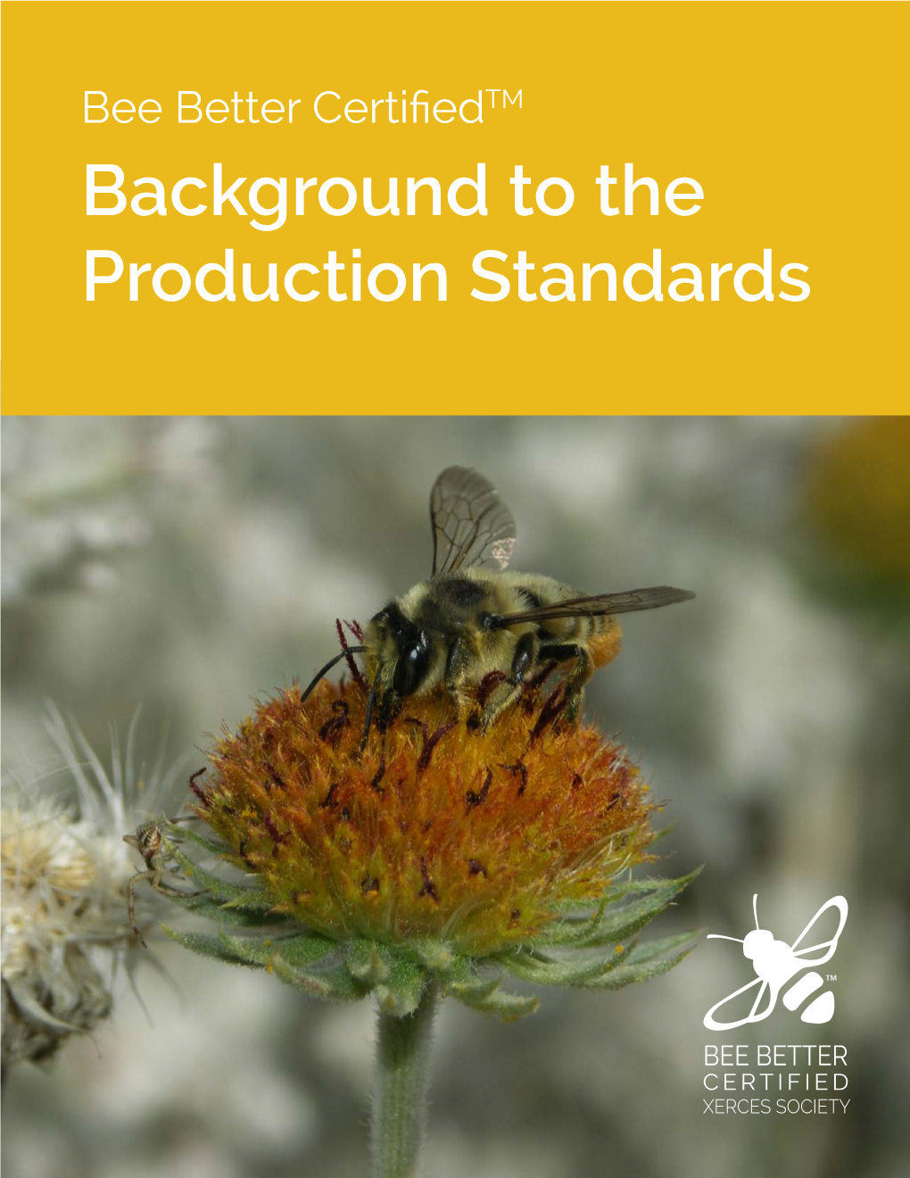 Background to the Production Standards