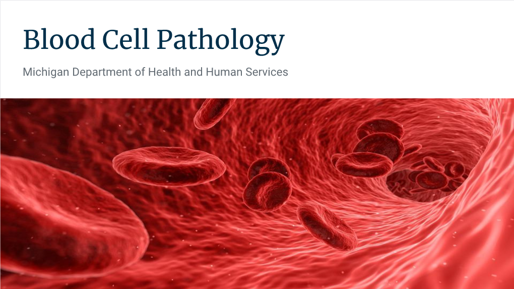 Blood Cell Pathology Michigan Department of Health and Human Services What Is Blood Cell Pathology?