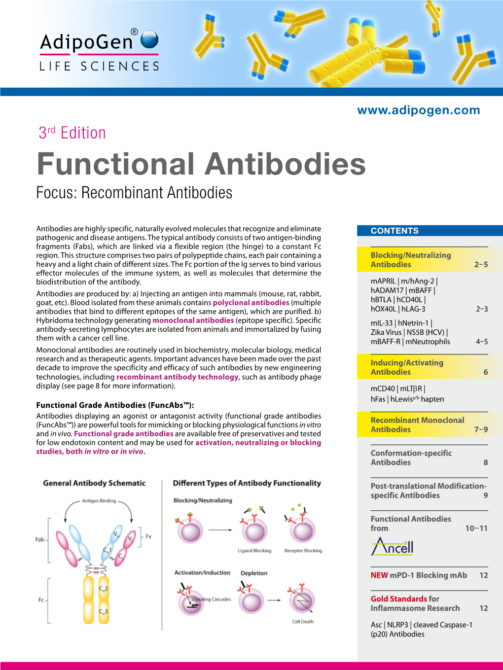 Functional Antibodies Focus: Recombinant Antibodies