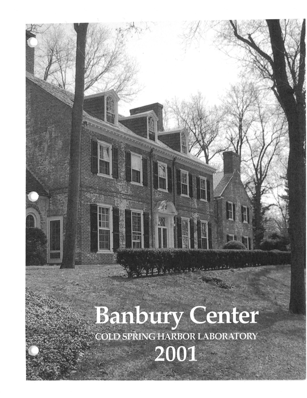 Banbury Center Director's Report