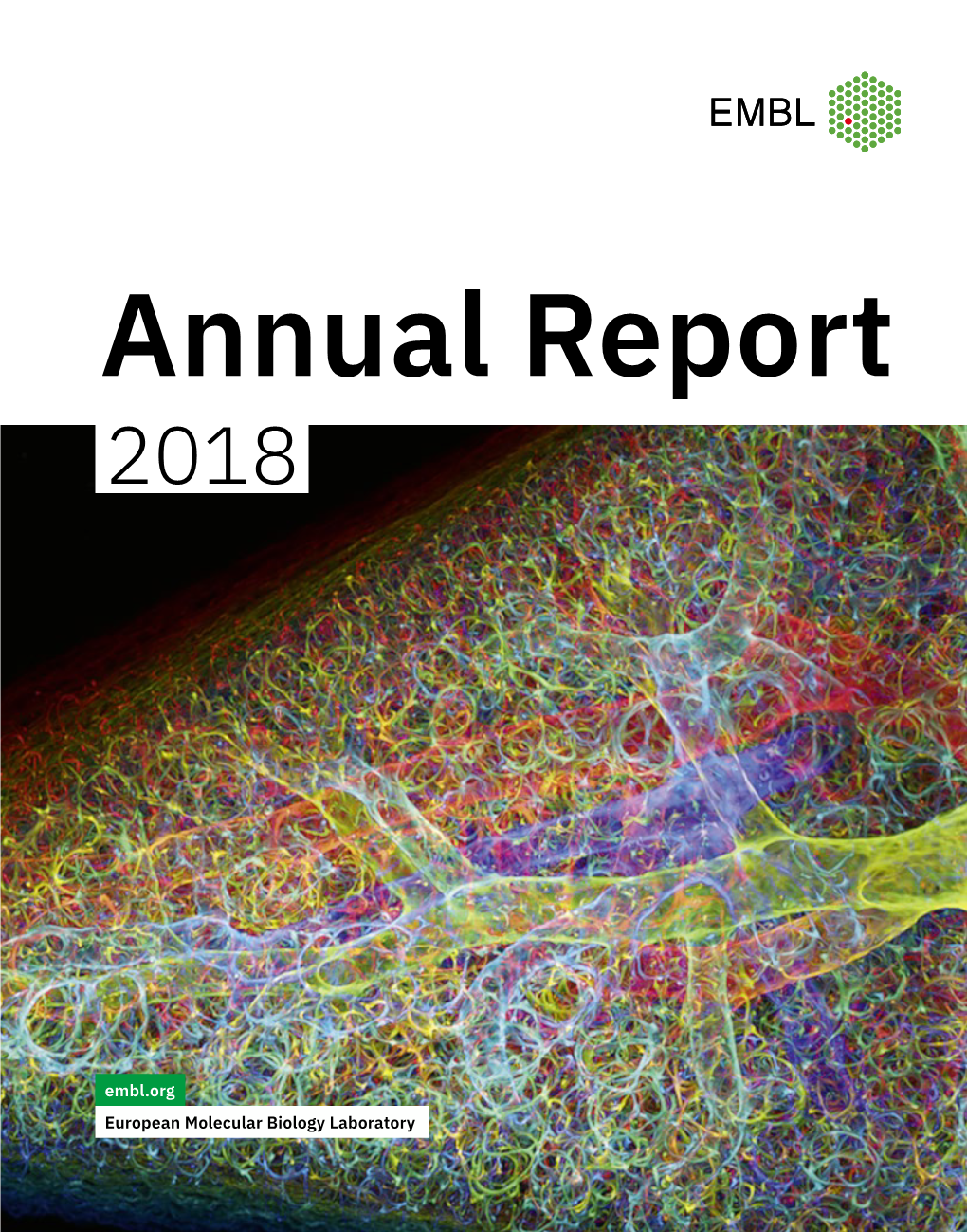 Annual Report 2018