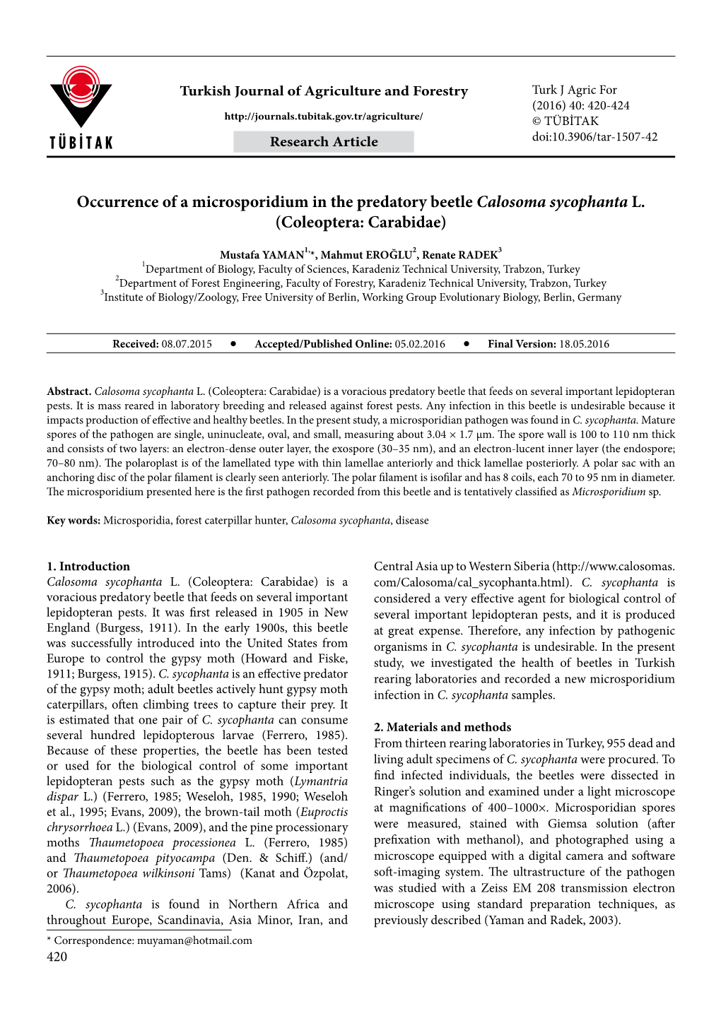 Occurrence of a Microsporidium in the Predatory Beetle Calosoma Sycophanta L