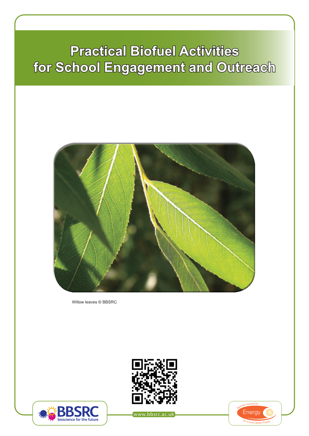 Practical Biofuel Activities for School Engagement and Outreach