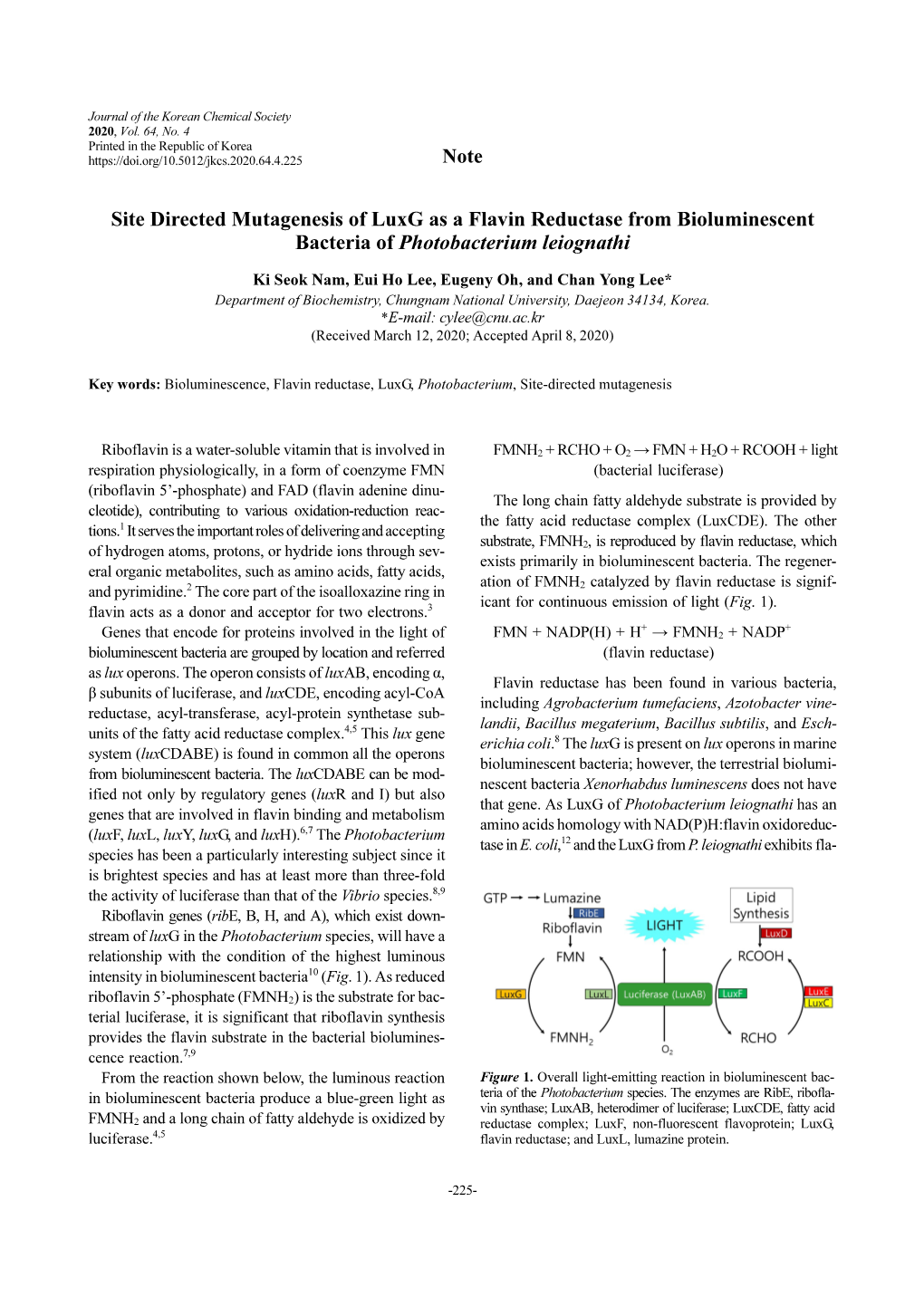 Site Directed Mutagenesis of Luxg As a Flavin Reductase from Bioluminescent Bacteria of Photobacterium Leiognathi