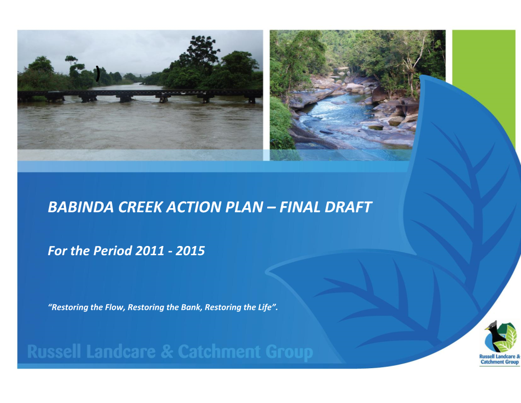 Babinda Creek Action Plan – Final Draft