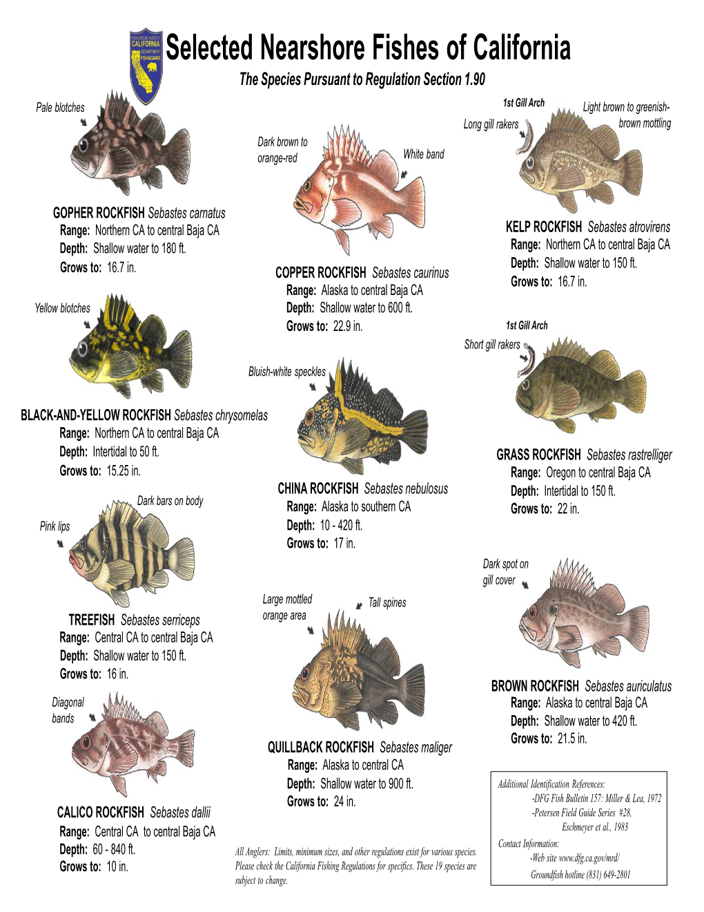 Selected Nearshore Fishes of California