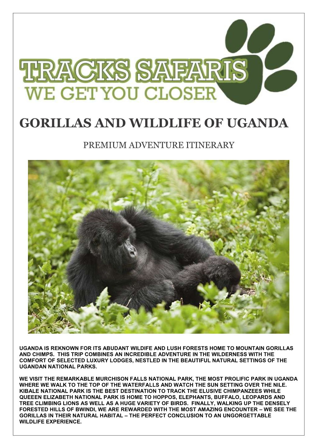 Gorillas and Wildlife of Uganda