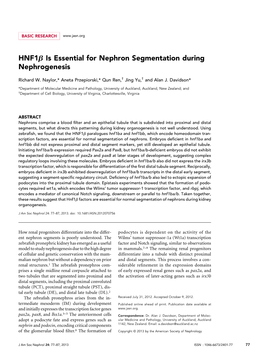 Hnf1b Is Essential for Nephron Segmentation During Nephrogenesis