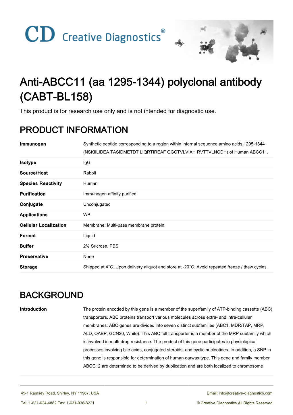 Anti-ABCC11 (Aa 1295-1344) Polyclonal Antibody (CABT-BL158) This Product Is for Research Use Only and Is Not Intended for Diagnostic Use