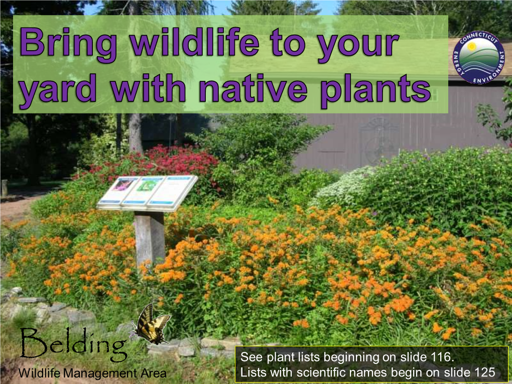 Bring Wildlife to Your Yard with Native Plants