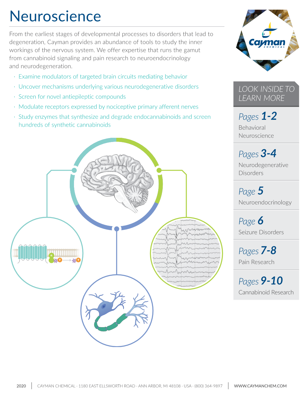 Neuroscience.Pdf