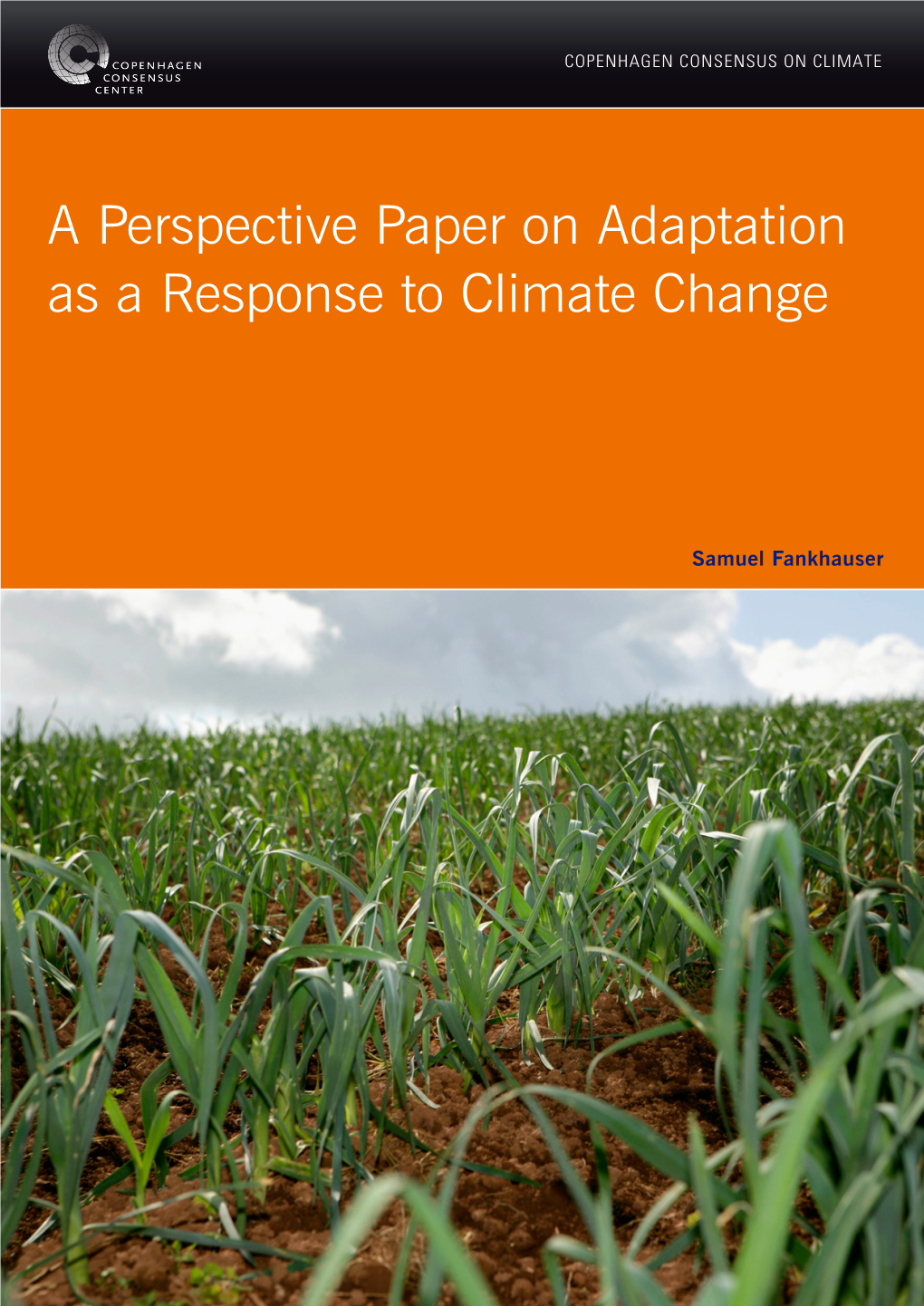 A Perspective Paper on Adaptation As a Response to Climate Change