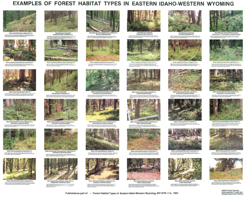 Forest Habitat Types of Eastern Idaho-Western Wyoming, INT GTR-114, 1983 Range Experiment Station