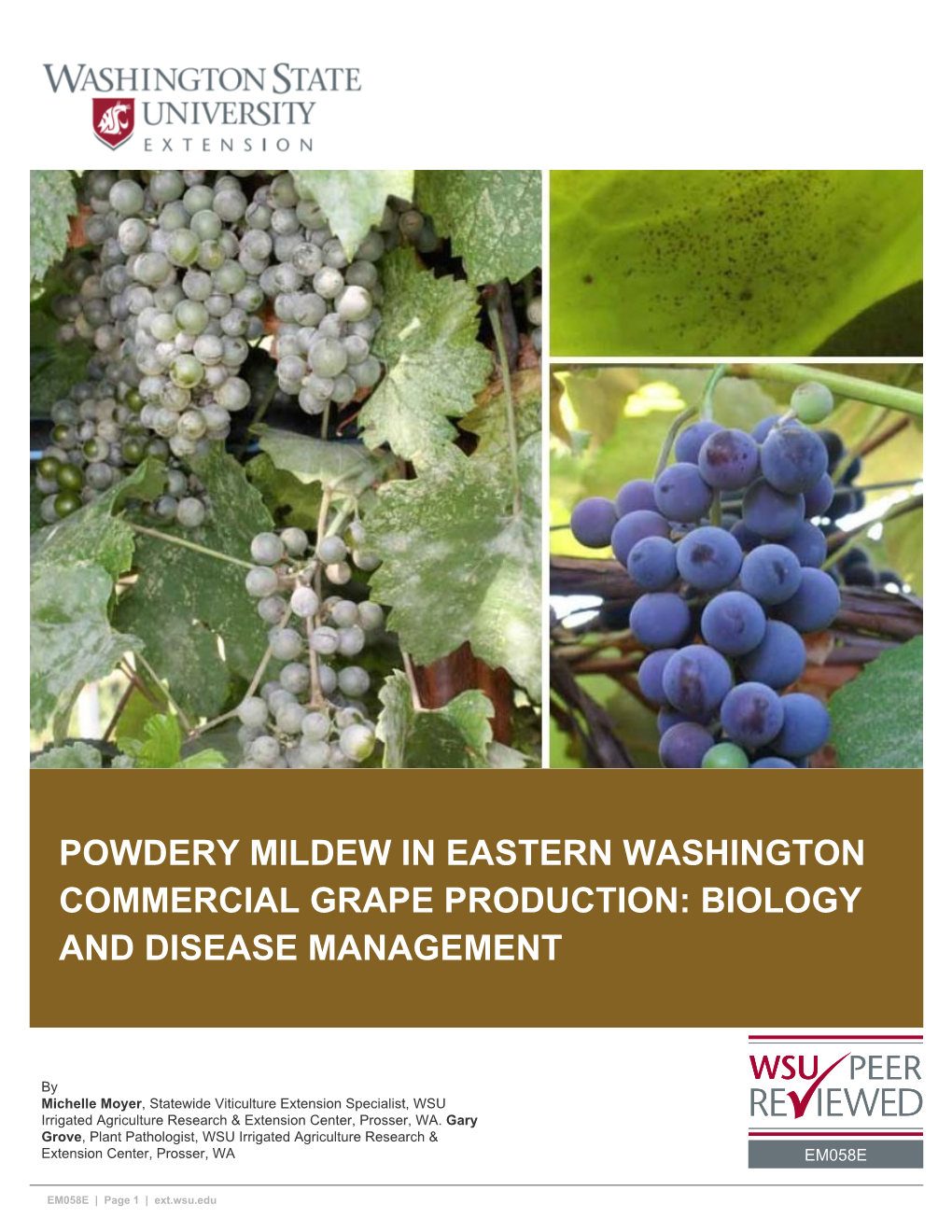 Powdery Mildew in Eastern Washington Commercial Grape Production: Biology and Disease Management