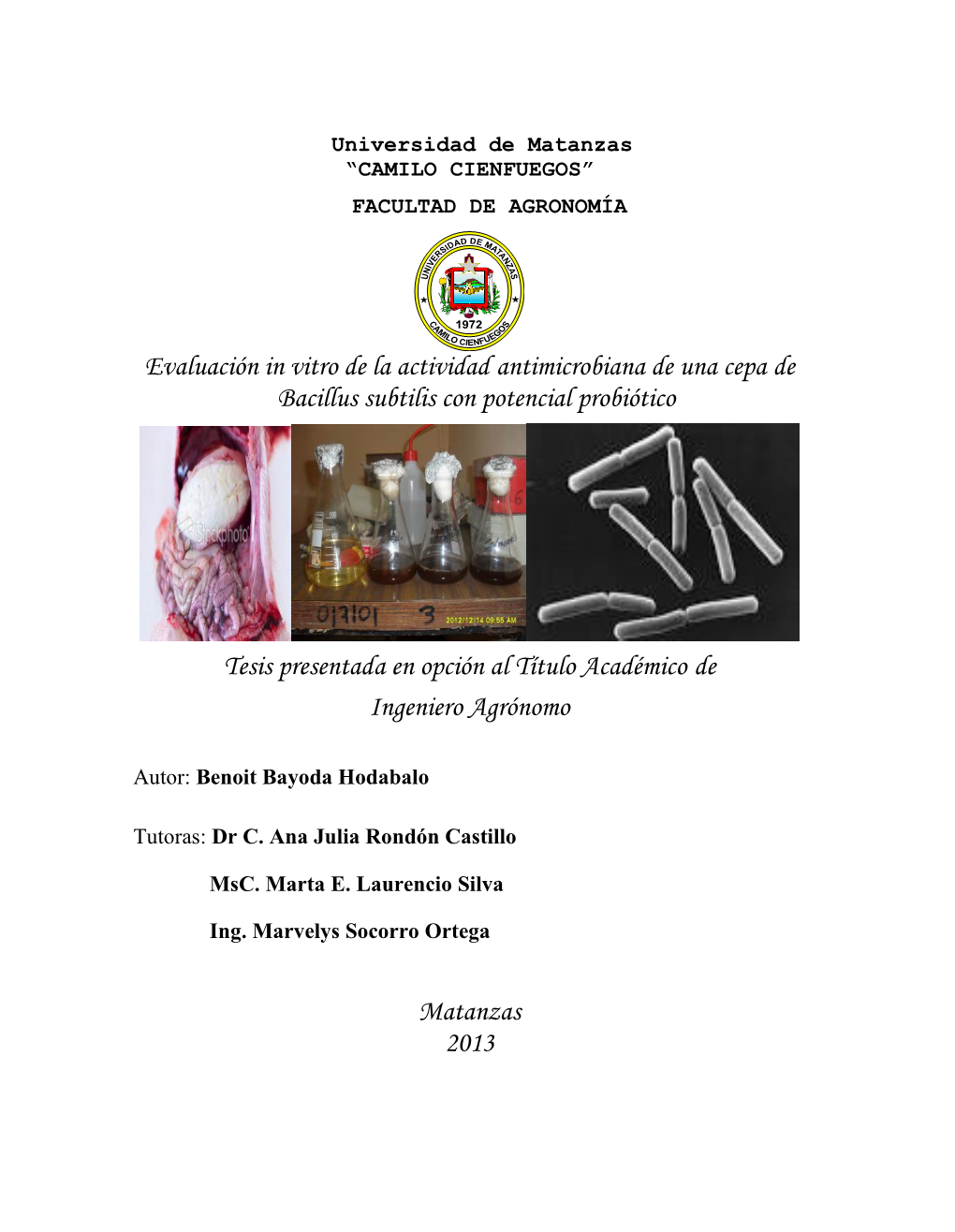 Evaluación in Vitro De La Actividad Antimicrobiana De Una Cepa De Bacillus Subtilis Con Potencial Probiótico