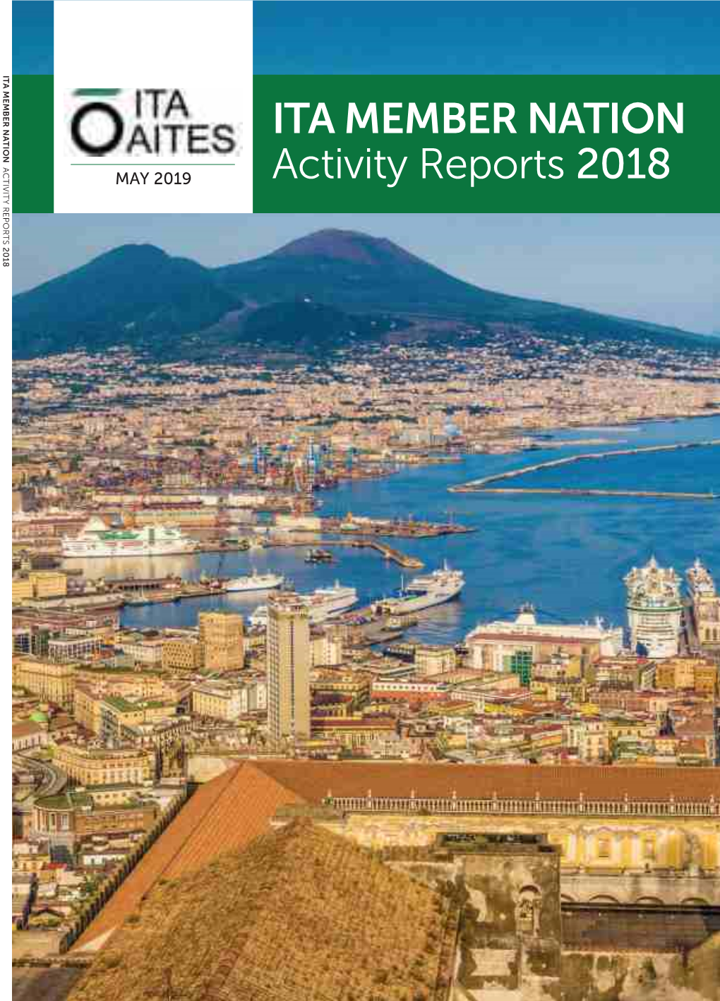 Activity Report 2018