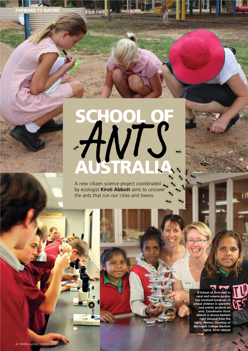 School of Australia