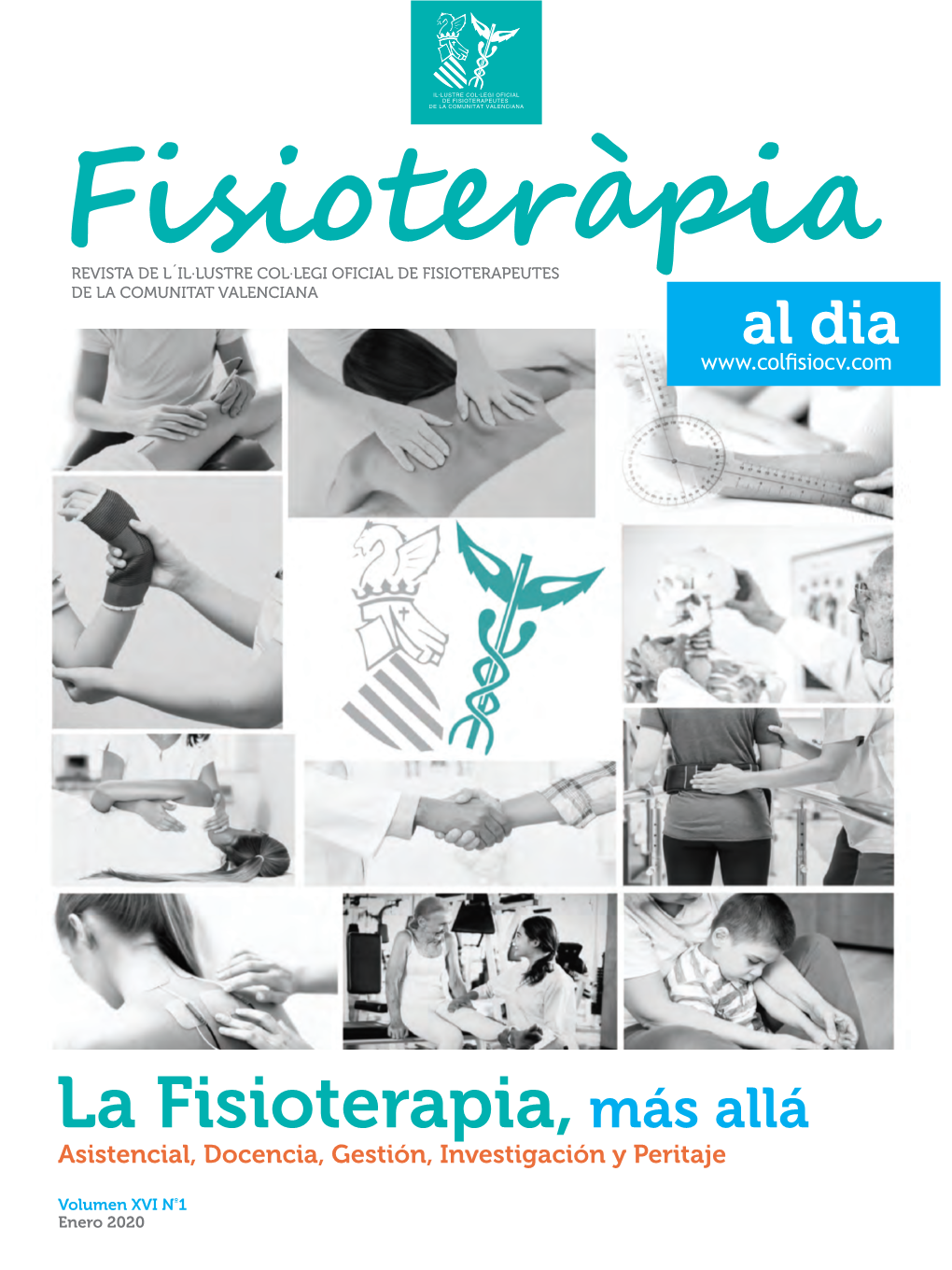 La Fisioterapia, Más Allá Asistencial, Docencia, Gestión, Investigación Y Peritaje