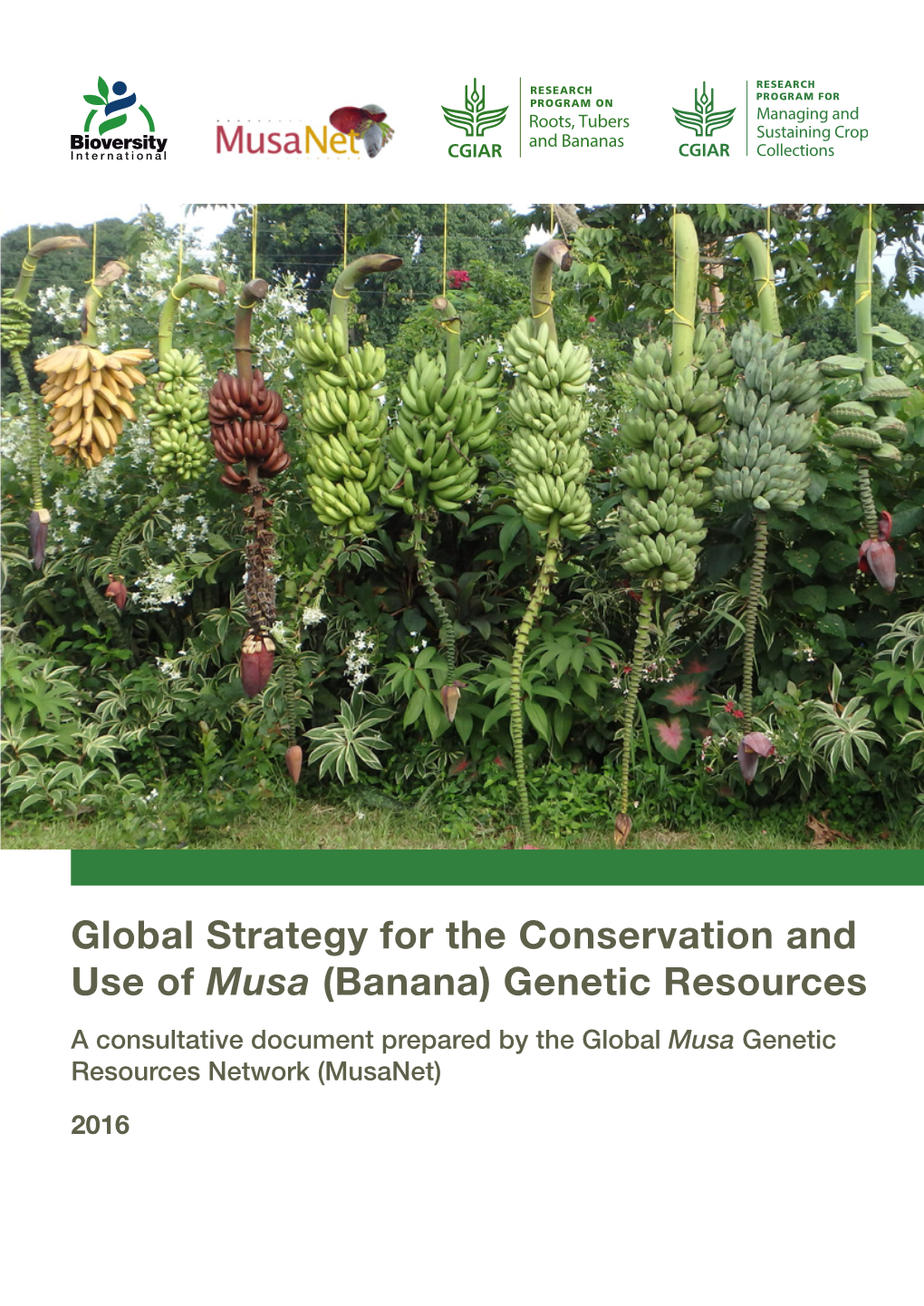 Banana) Genetic Resources a Consultative Document Prepared by the Global Musa Genetic Resources Network (Musanet