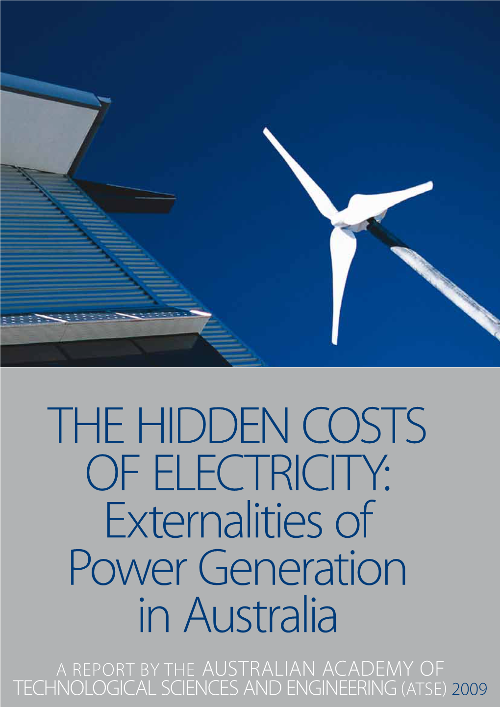 The Hidden Costs of Electricity