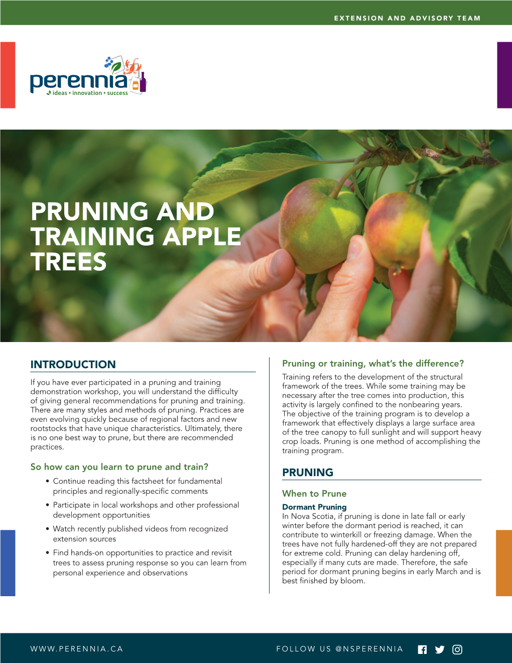 Pruning and Training Apple Trees NEW 2021