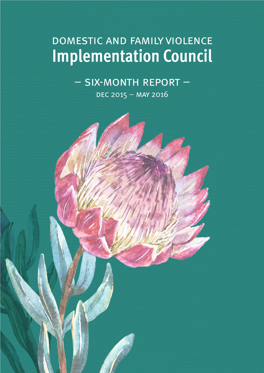 DFV Implementation Council Six-Month Report