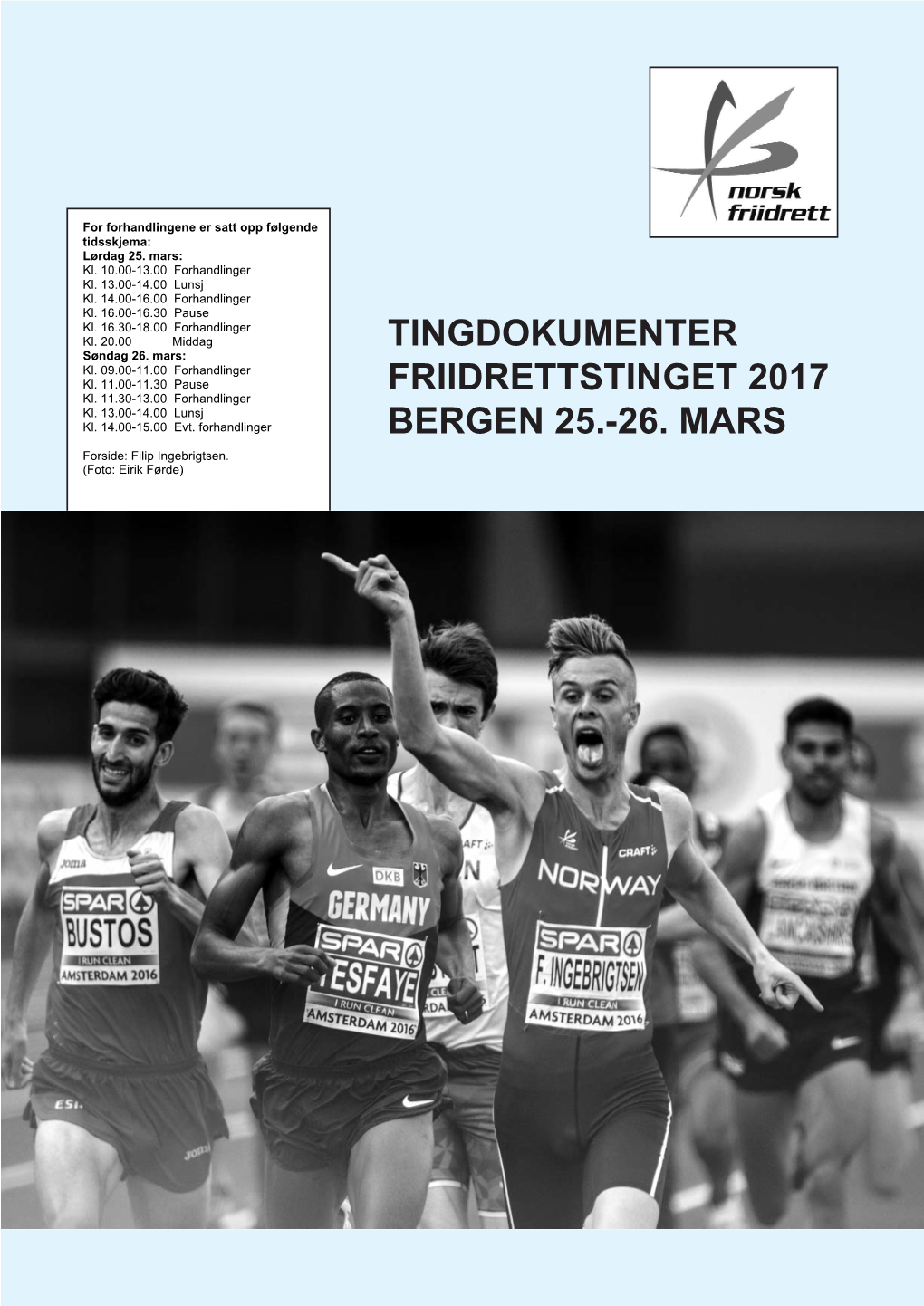 Tingberetning 2017