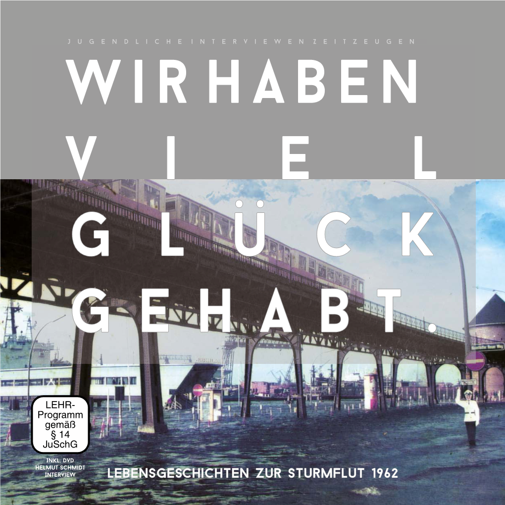 Lebensgeschichten Zur Sturmflut 1962 Wir Haben Viel Glück Gehabt – Lebensgeschichten Programm Gemäß § 14 Juschg