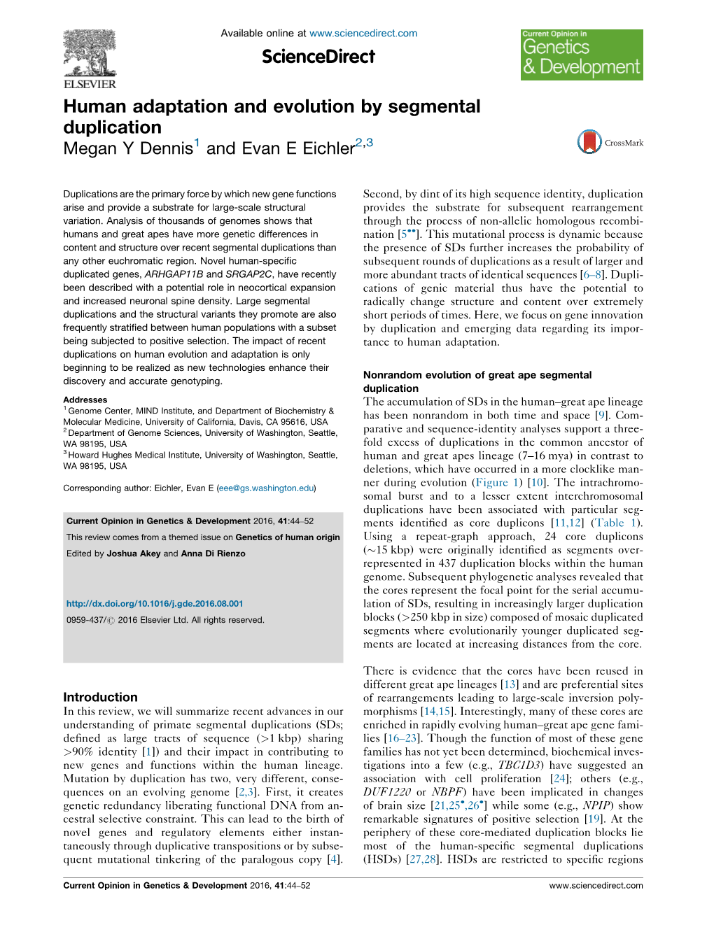 Human Adaptation and Evolution by Segmental Duplication