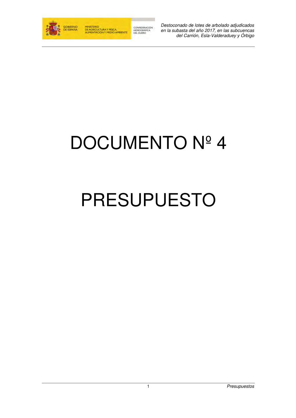 Documento Nº 4 Presupuesto